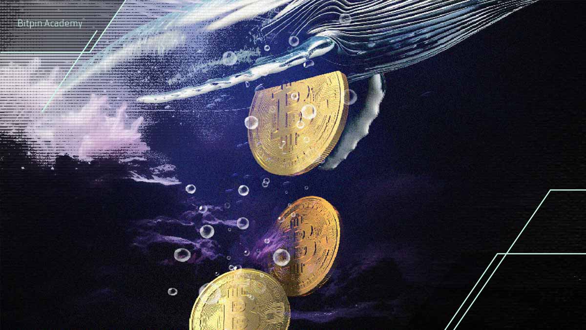 تحلیل بیت کوین: الگوی هارمونیک و سناریوی ریزش ۵۵ درصدی!