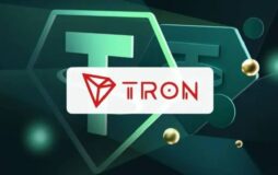 چگونه آدرس TRC20 صحیح را تشخیص دهیم؟ راهنمای جلوگیری از اشتباهات پر هزینه