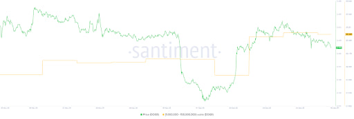 تحلیل رفتار نهنگ‌های دوج کوین