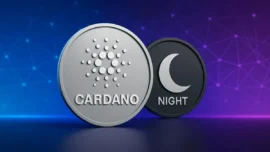 رشد چشمگیر حجم معاملات کاردانو پس از ایردراپ نایت‌ کوین