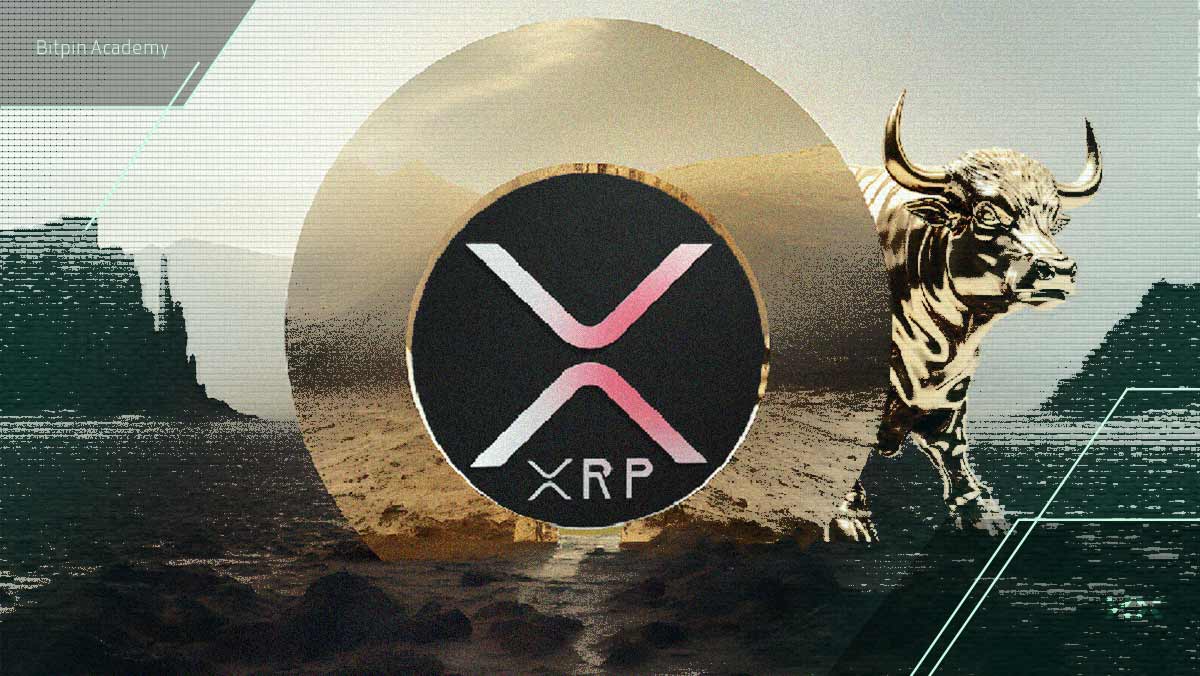 ریپل (XRP) در حمایت کلیدی؛ سیگنال‌‌های تکنیکال جدی برای شروع صعود!