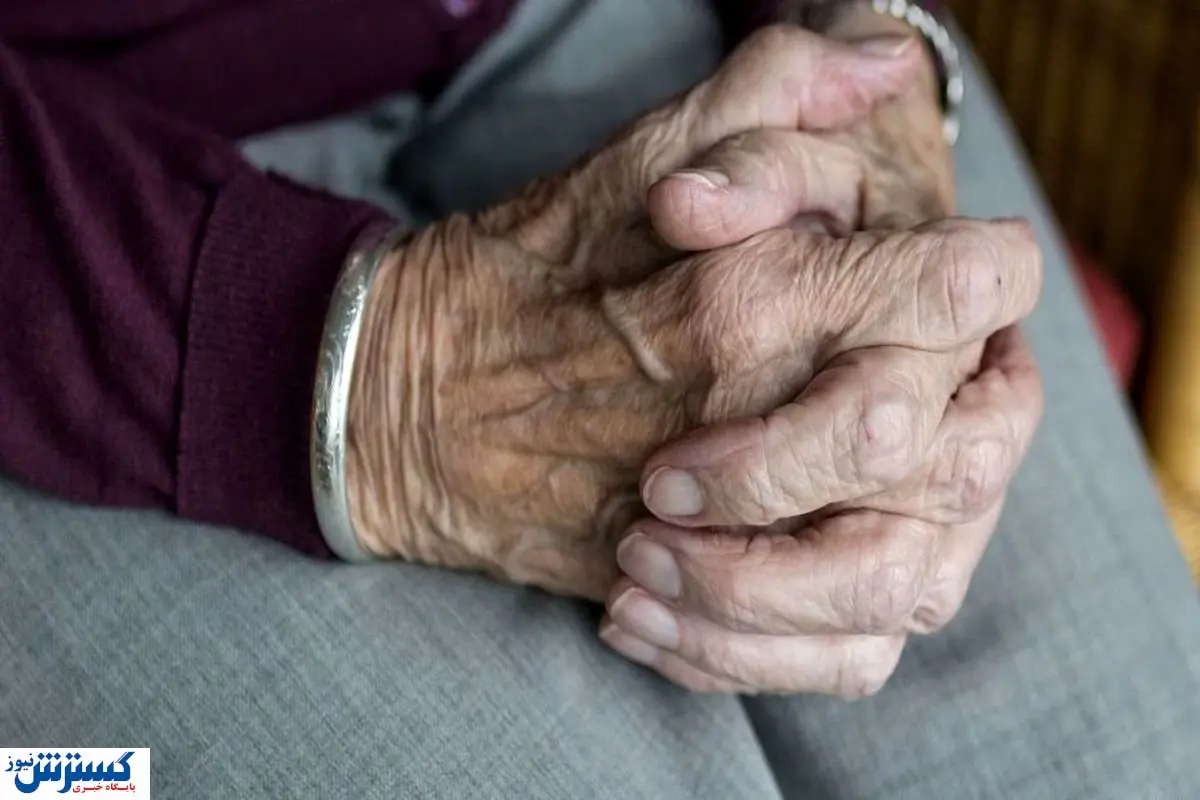 شرایط جدید دریافت عائلهمندی برای زنان بازنشسته اعلام شد شرایط جدید دریافت عائلهمندی برای زنان بازنشسته اعلام شد