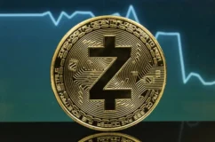 قیمت زی‌کش از سقف تاریخی بیش از ۵۰ درصد سقوط کرد