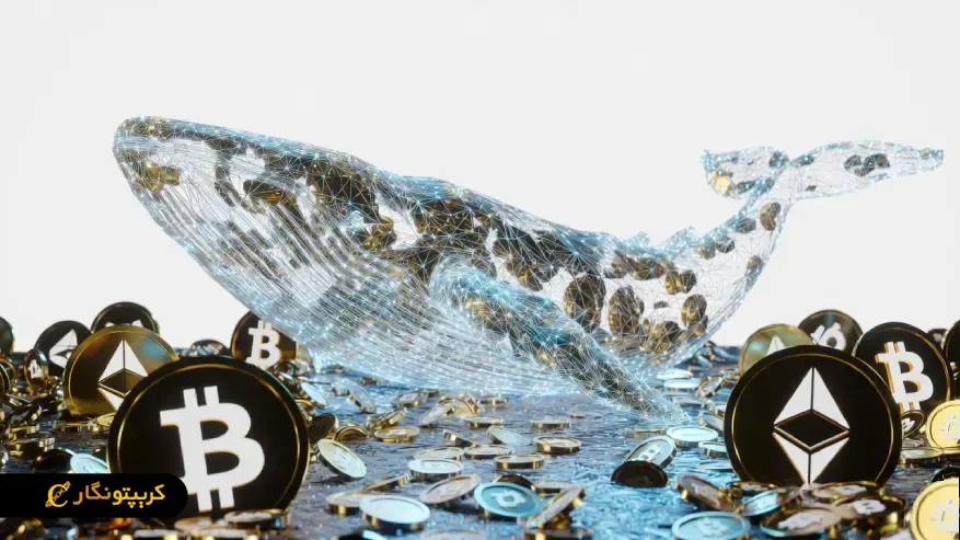 نهنگ کریپتو چه نقشی در رفتار تریدرهای کوچک بازار دارد؟ نقش نهنگ کریپتو در بازار