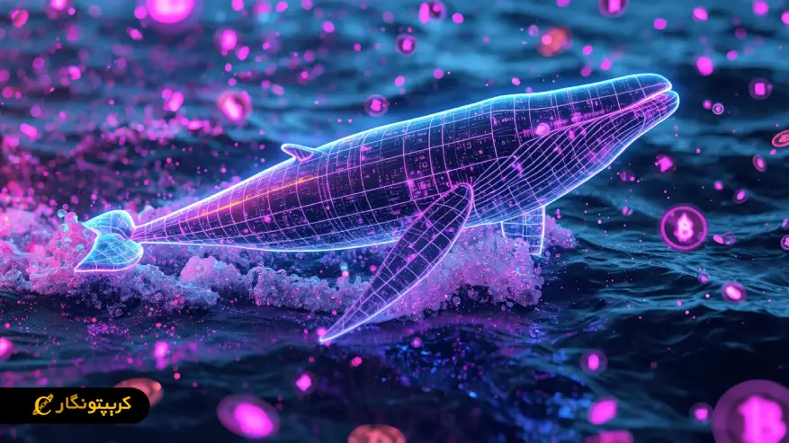نهنگ کریپتو چه نقشی در رفتار تریدرهای کوچک بازار دارد؟ ریسک ها و فرصت های معامله در بازار نهنگ های کریپتو