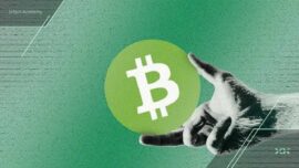 چرا بیت کوین کش بهترین لایه اول ۲۰۲۵ شد؟ تحلیل بنیادی و تکنیکال